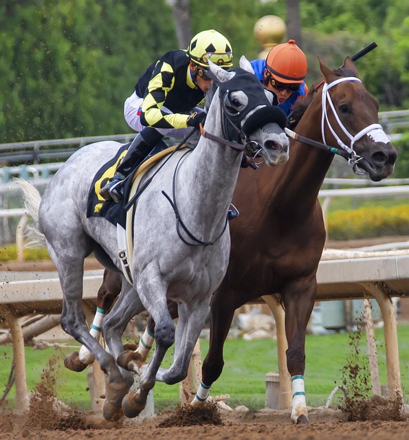 一个有趣的 一个有趣的